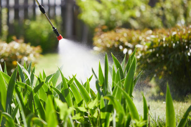 Tamper-Resistant Bait Stations for Rodents in Bluffdale
