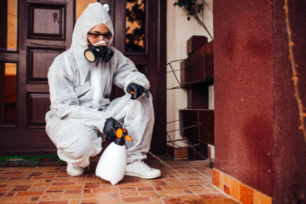 Attic and Crawl Space Rodent Treatment in Bluffdale
