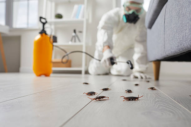 Commercial Rodent Management in Bluffdale